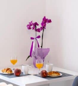 Vacation Home Vodice Breakfast Included